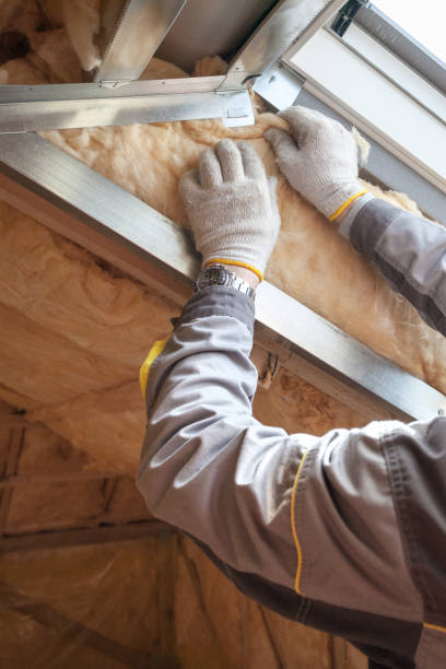 Best Energy Efficiency Insulation in Lauderdale Lakes, WI